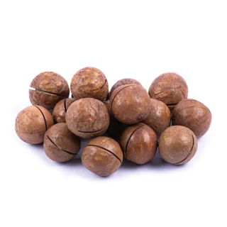 فندق ماکادمیا ممتاز