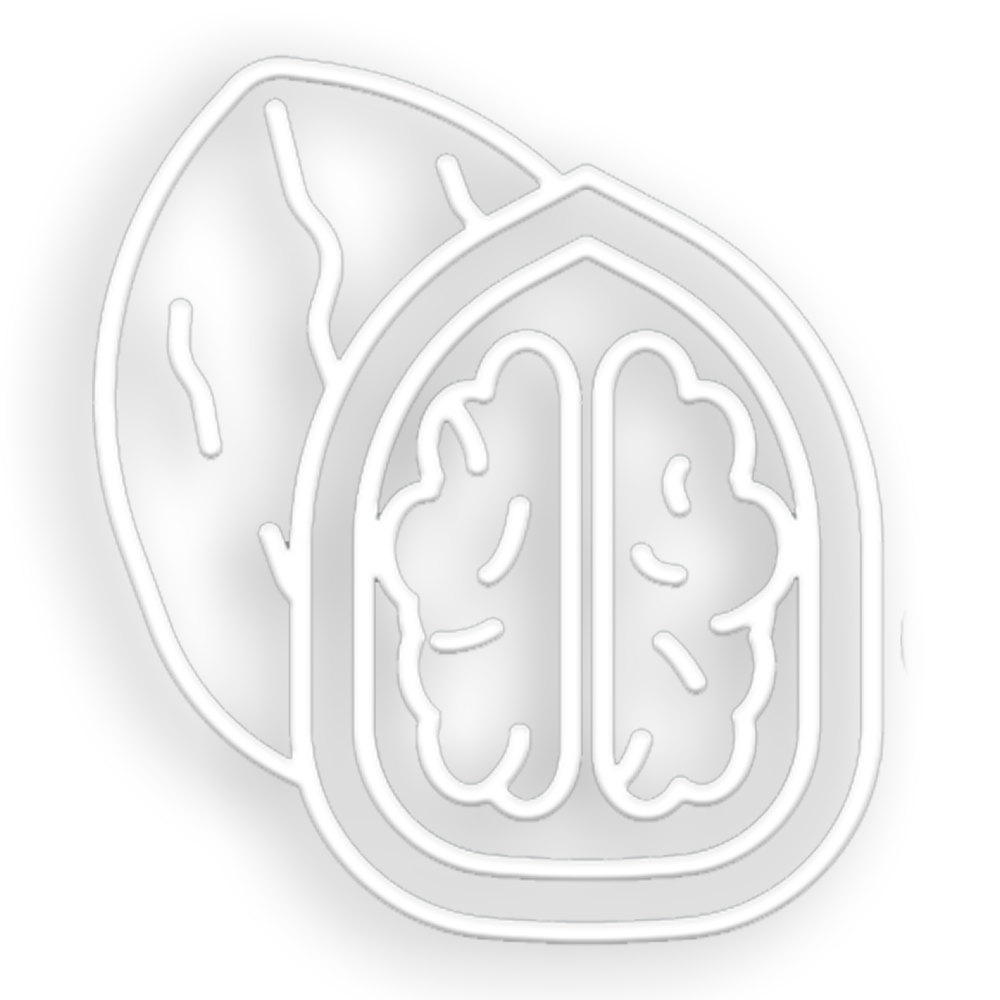 آجیل و خشکبار مغزلی