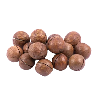 فندق ماکادمیا ممتاز