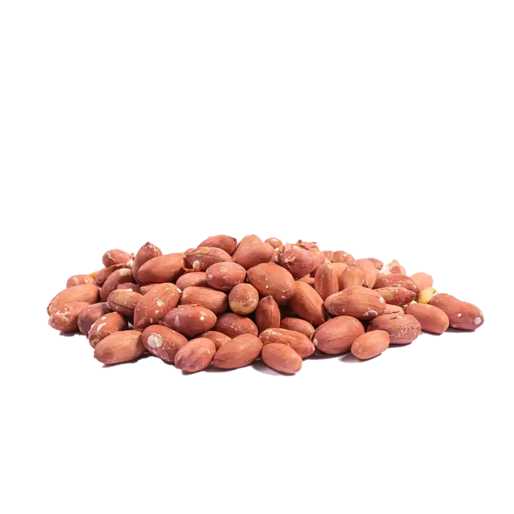 بادام زمینی خام درجه دو