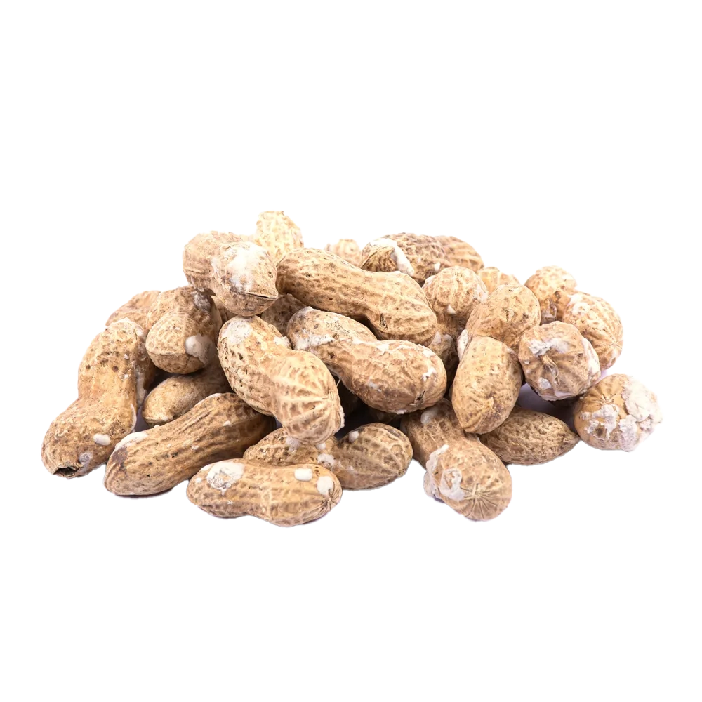 بادام زمینی برشته با پوست