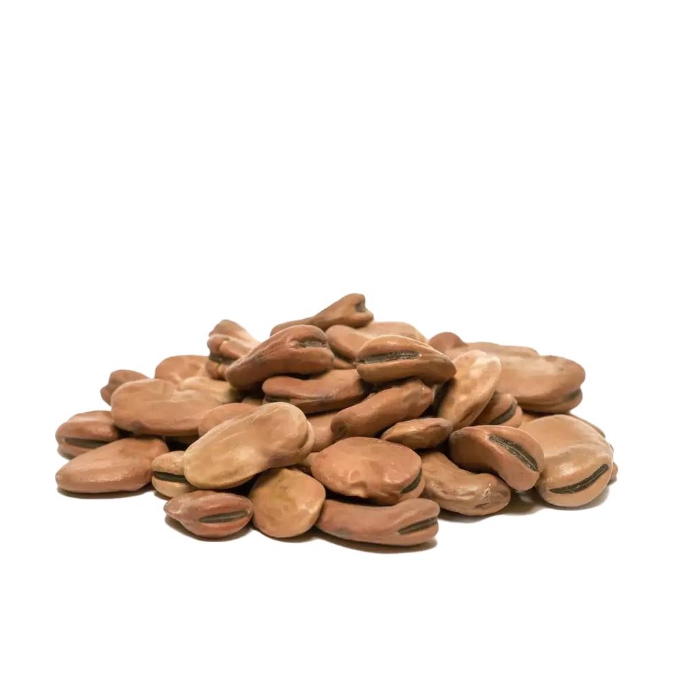 باقالی خشک درجه یک