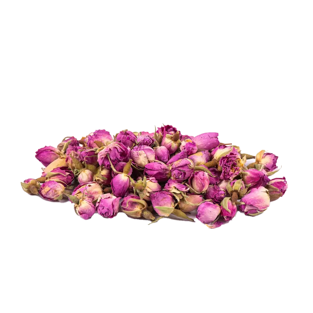 غنچه گل محمدی